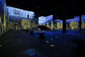 Kingdom of the pharaohs Gallery